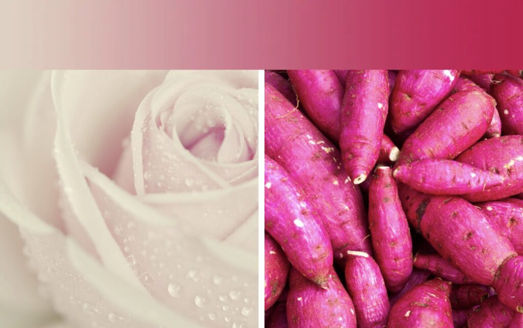 เทคนิคการการถ่ายทอดอารมณ์ผ่านสี 1 7