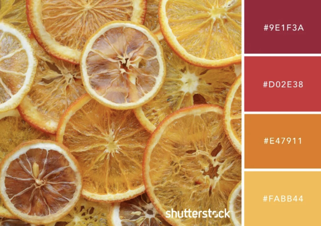 10 ชุดสี 5