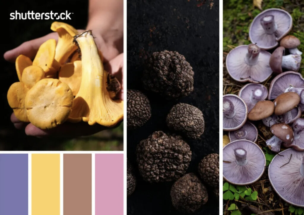 10 ชุดสี 6