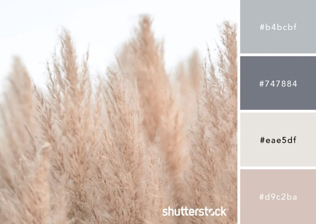 Screenshot 2024 12 16 at 11.48.59 AM