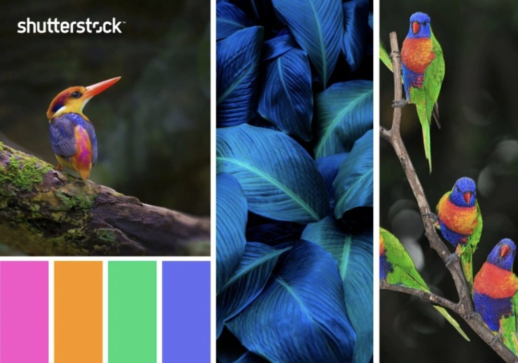 10 ชุดสีโทนร้อนจากภาพถ่ายแลนด์สเคปสุดแนว1