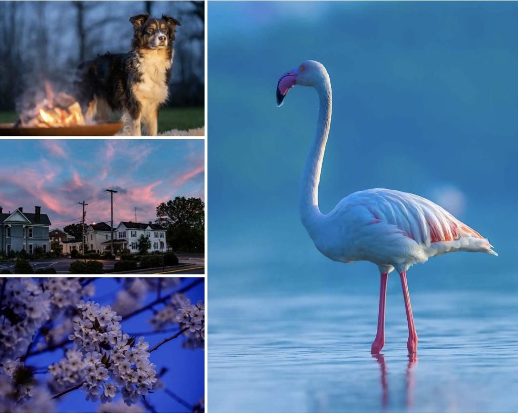 Screen Shot 2022 07 21 at 9.25.17 AM