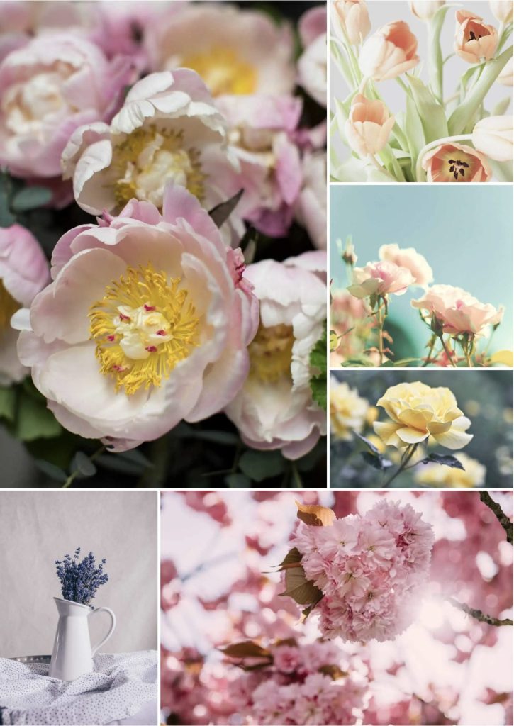 Screen Shot 2022 06 27 at 11.35.56 AM