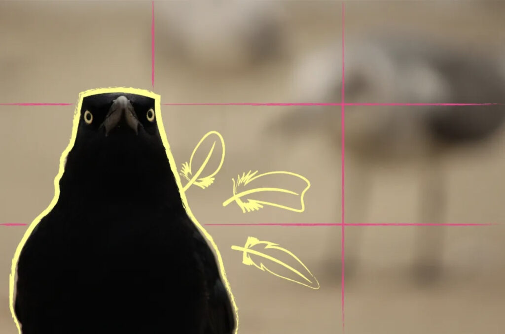 องค์ประกอบภาพ 9