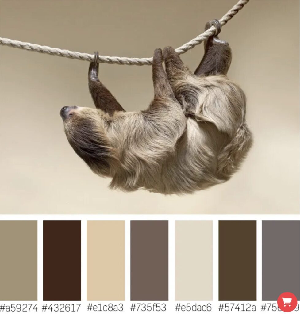 เทคนิคการการถ่ายทอดอารมณ์ผ่านสี 1 4