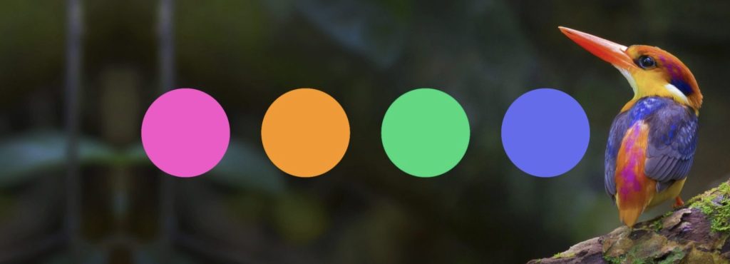 10 ชุดสีโทนร้อนจากภาพถ่ายแลนด์สเคปสุดแนว