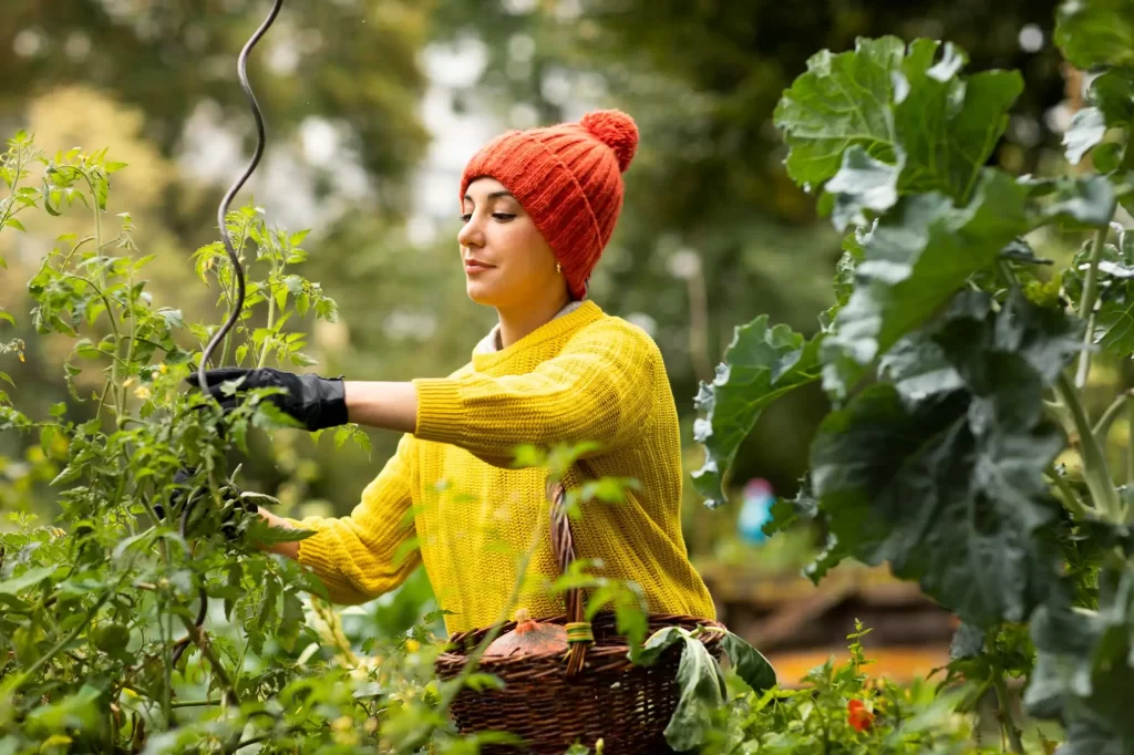 woman working in garden offset 1052837