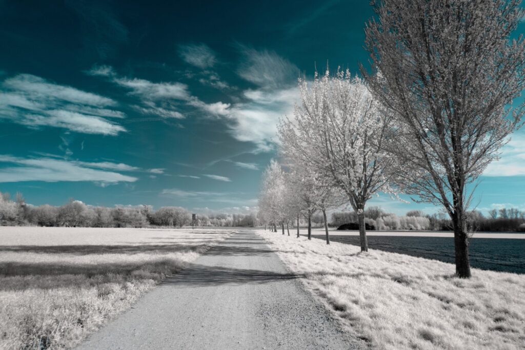 ภาพถ่าย ทิวทัศน์