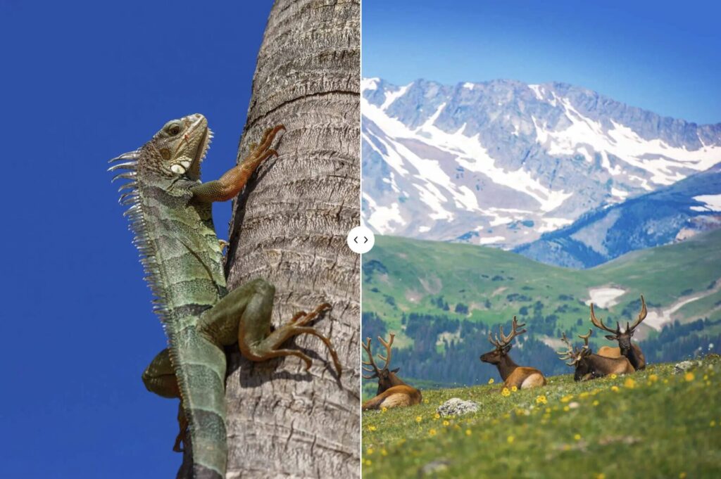 Screenshot 2568 04 23 at 15.07.31