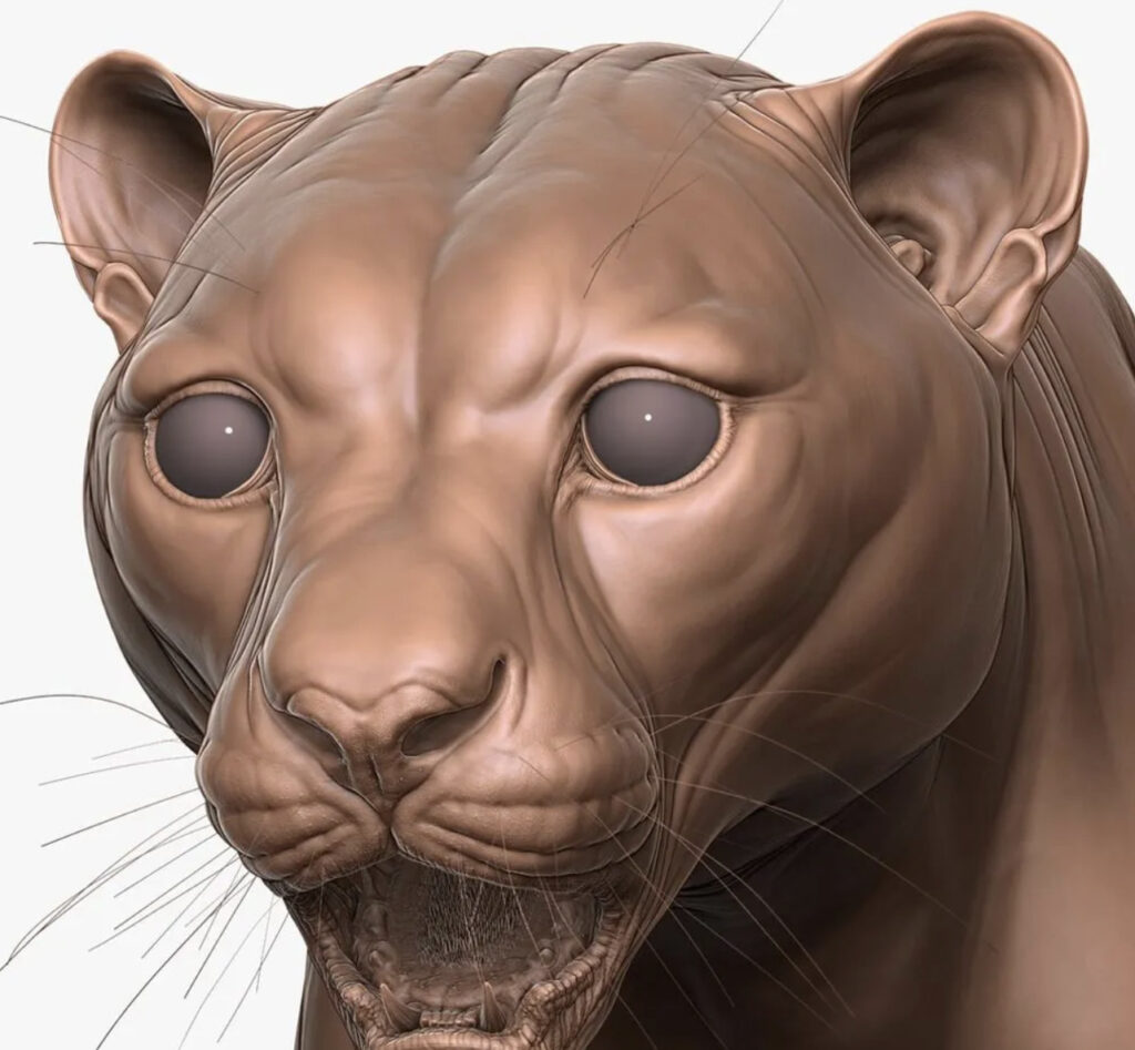 3D อนิเมชั่น 1 3