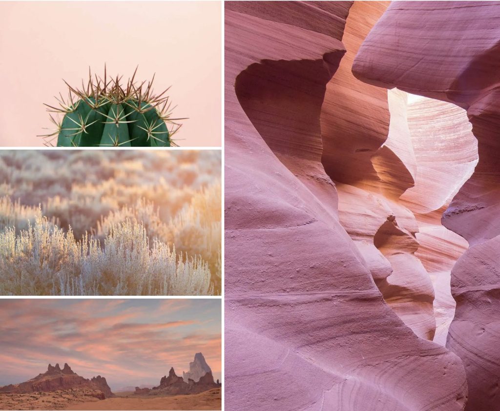 Screen Shot 2022 06 27 at 11.34.29 AM