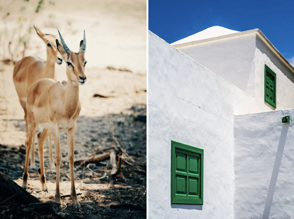 ค่าสีกล้อง