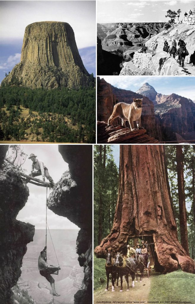 Screen Shot 2022 07 08 at 4.04.07 PM