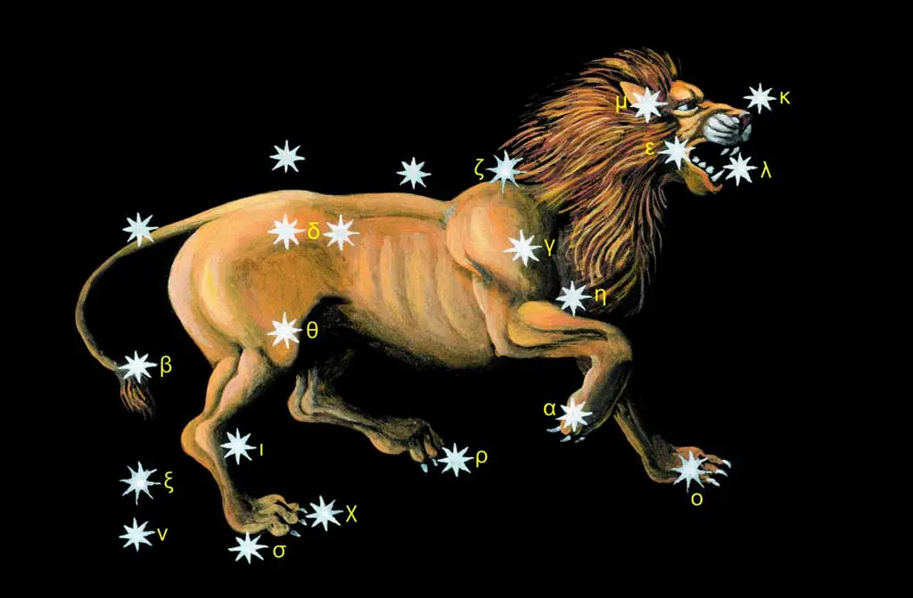 leo constellation illustration