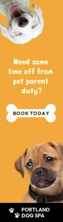 ยกระดับธุรกิจด้วยภาพสต็อกอย่างไรให้มีประสิทธิภาพ