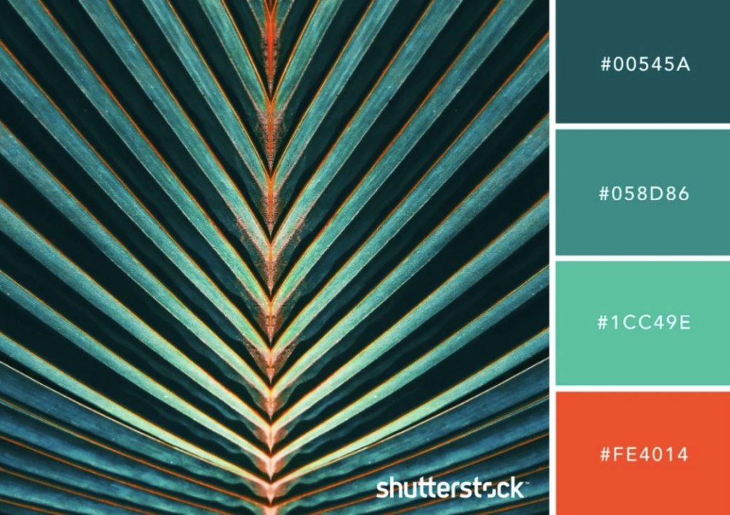 10 ชุดสีโทนร้อนจากภาพถ่ายแลนด์สเคปสุดแนว15