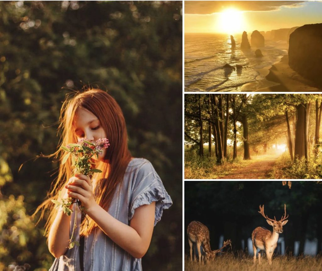 Screen Shot 2022 07 21 at 9.25.25 AM