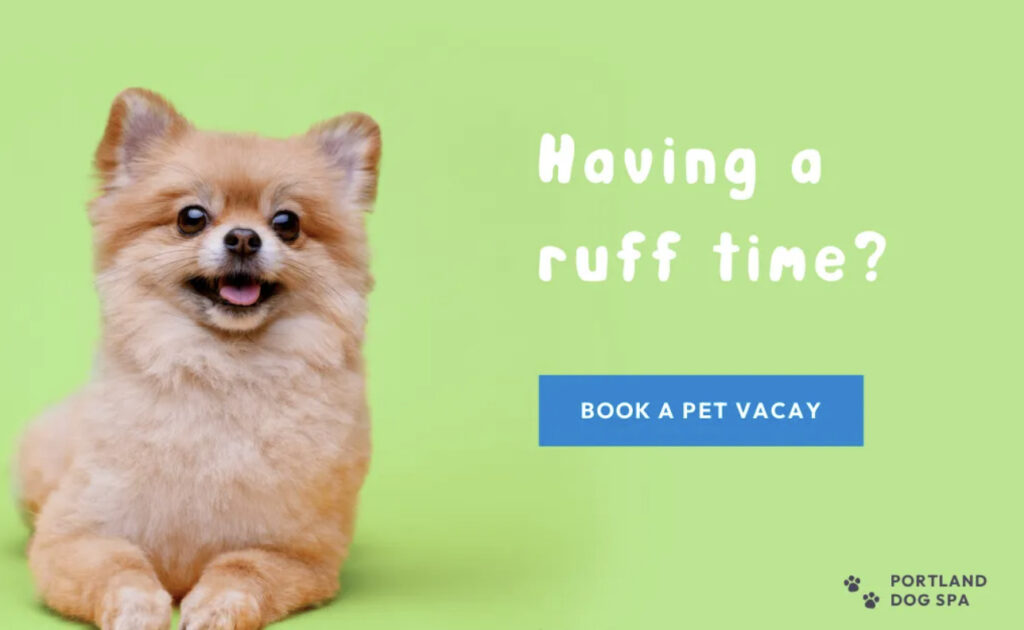 ยกระดับธุรกิจด้วยภาพสต็อกอย่างไรให้มีประสิทธิภาพ 1 1