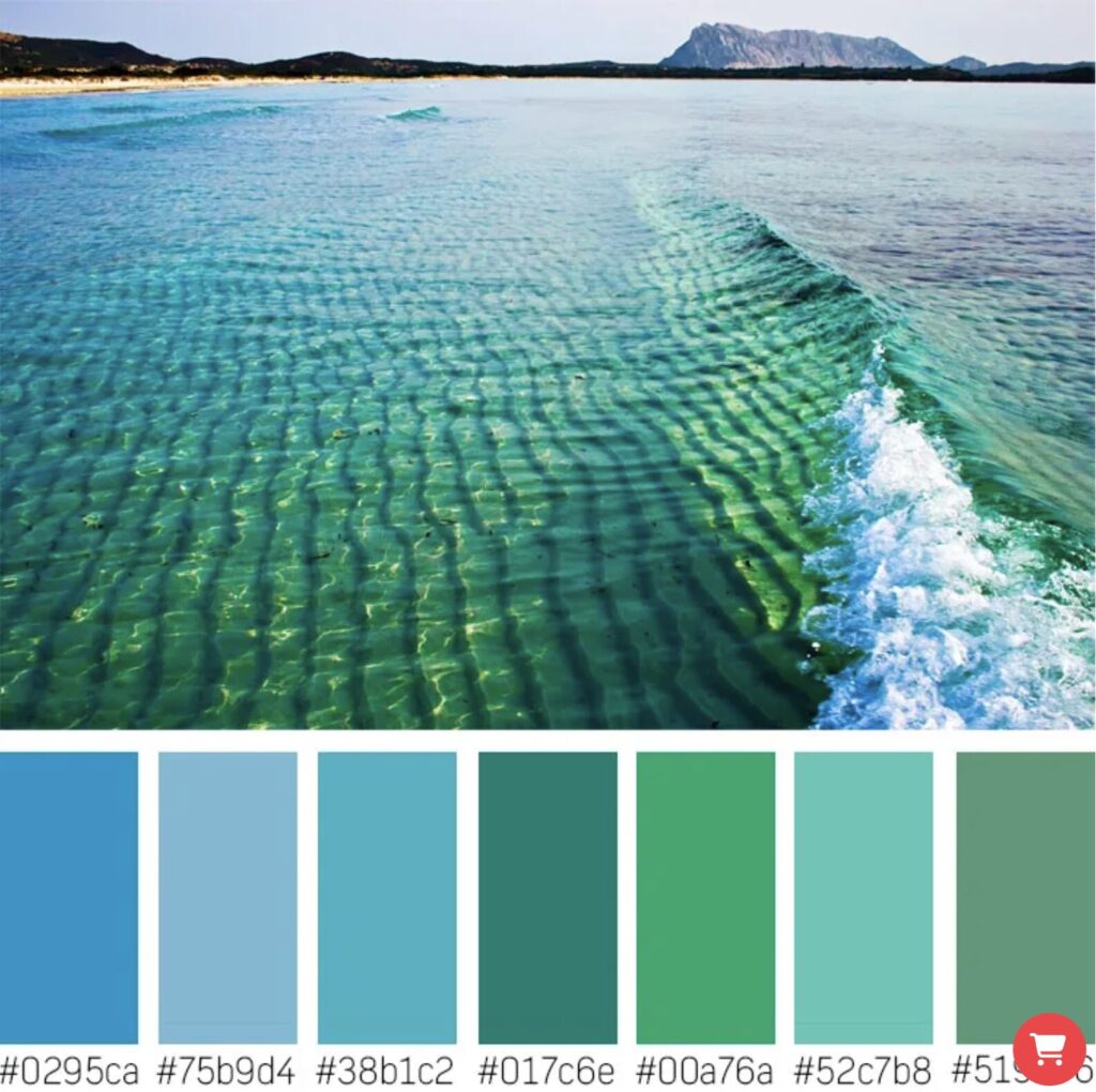 เทคนิคการการถ่ายทอดอารมณ์ผ่านสี