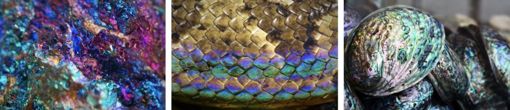 เทคนิคการการถ่ายทอดอารมณ์ผ่านสี 1 8