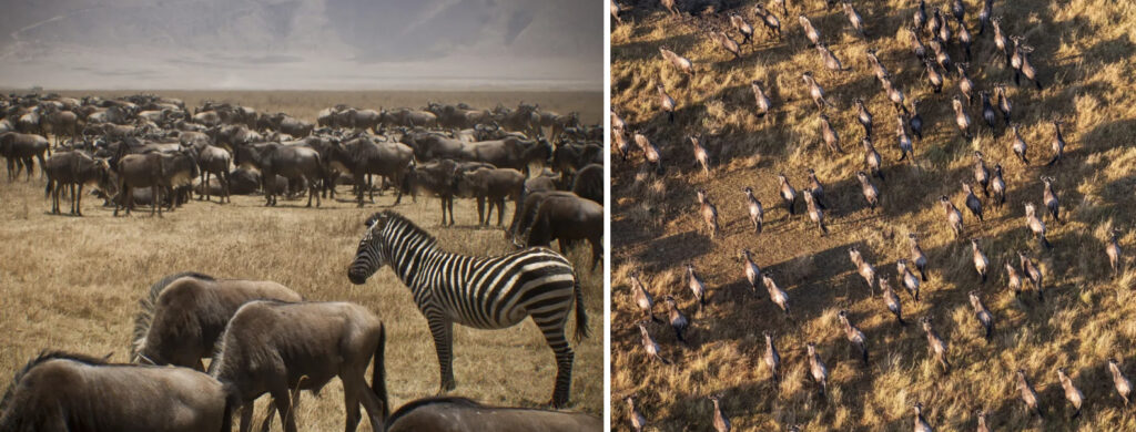 องค์ประกอบภาพ 2