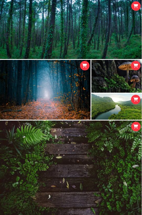 มัลติมีเดีย