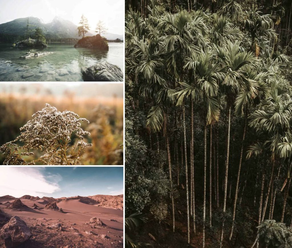 Screen Shot 2022 07 08 at 2.51.14 PM1