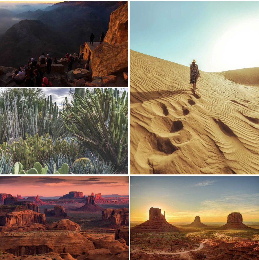 Screen Shot 2022 07 08 at 2.51.21 PM