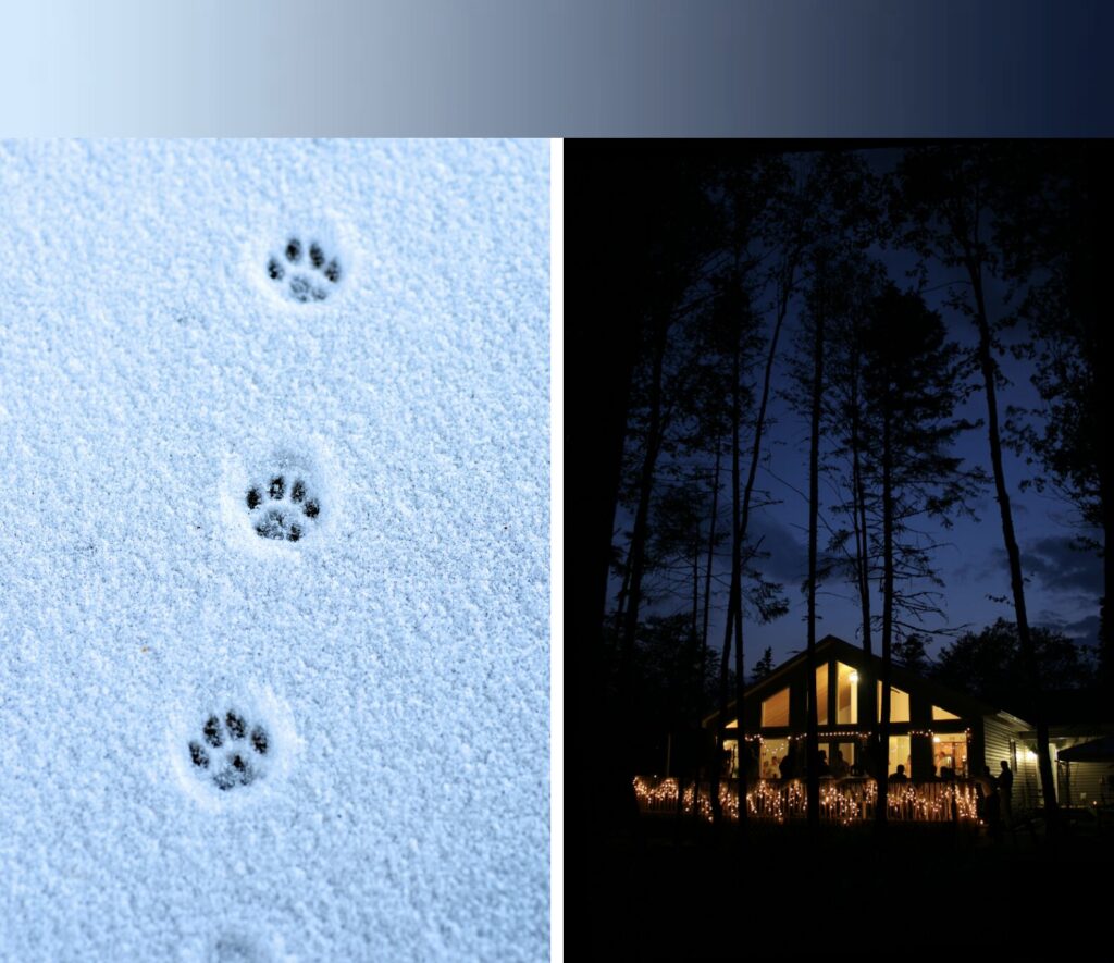 เทคนิคการการถ่ายทอดอารมณ์ผ่านสี 1 6