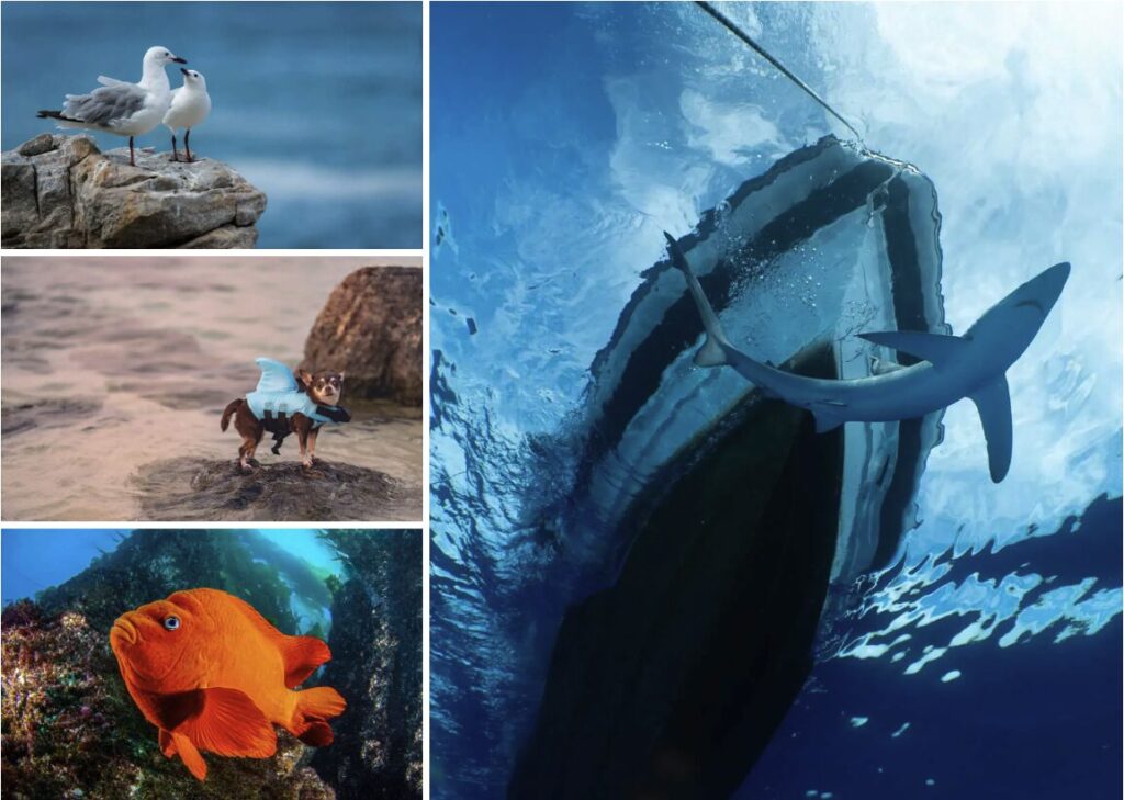 Screenshot 2568 04 23 at 15.07.39