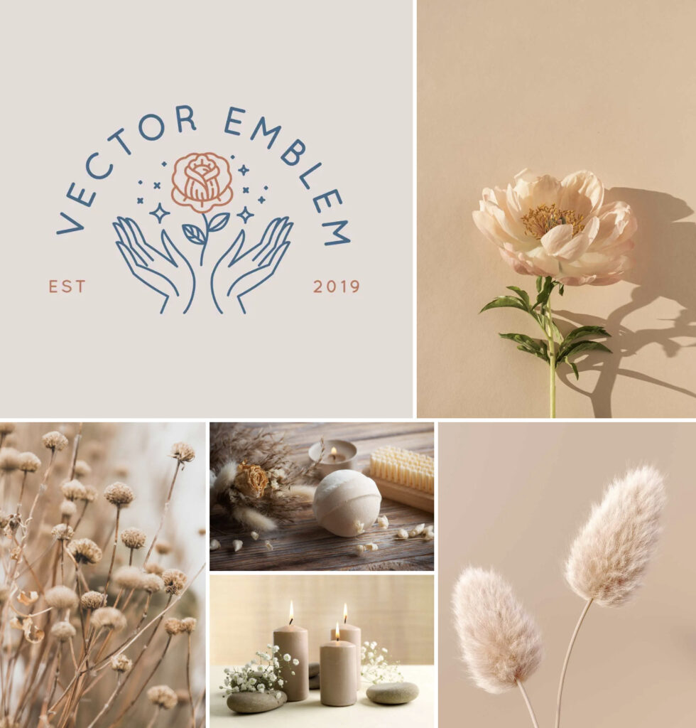 สื่อสารแบรนด์ด้วยประสาทสัมผัส