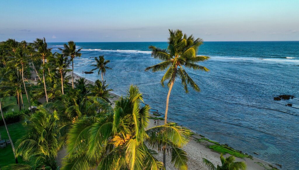 Aerial,View,Of,Beautiful,Praia,Do,Forte,Beach,With,Palm