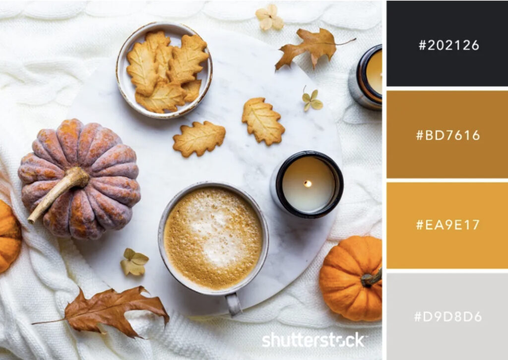 10 ชุดสี 9