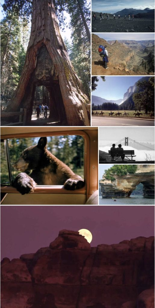 Screen Shot 2022 07 08 at 4.05.06 PM