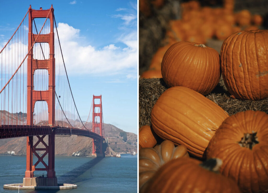 ความหมายของสี. 1 2