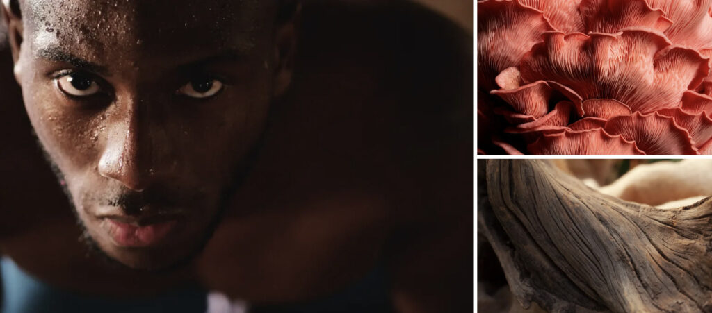 องค์ประกอบภาพ 17