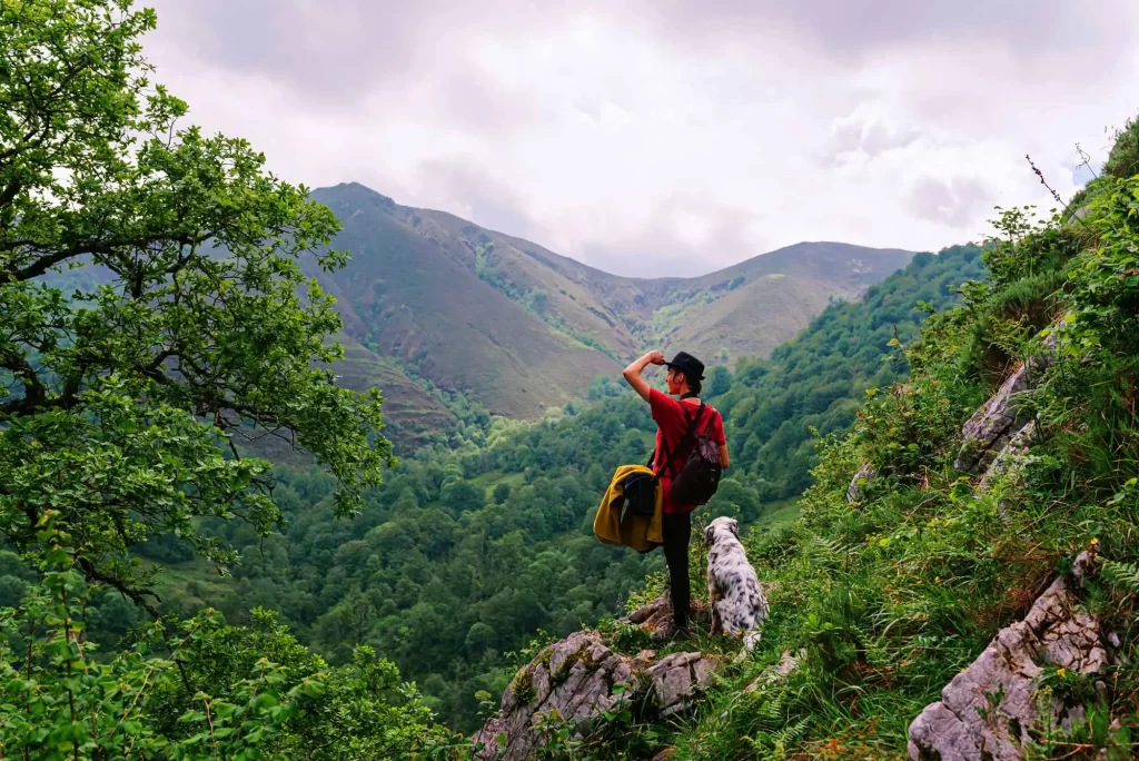 hiker overlooking mountain offset 988387