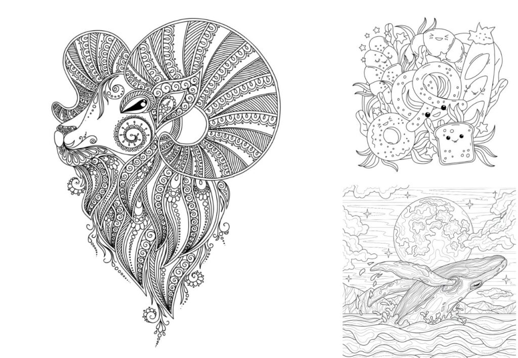 รูปภาพ 1 3