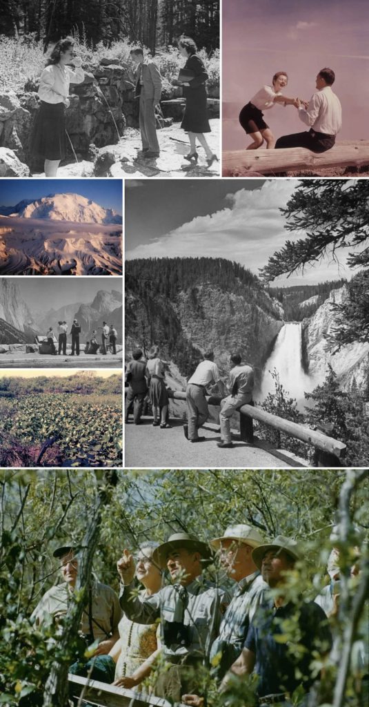 Screen Shot 2022 07 08 at 4.04.45 PM