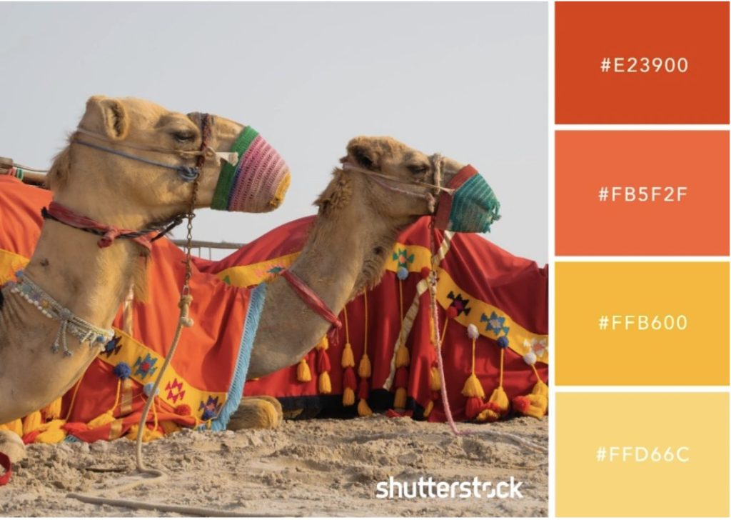 10 ชุดสีโทนร้อนจากภาพถ่ายแลนด์สเคปสุดแนว.