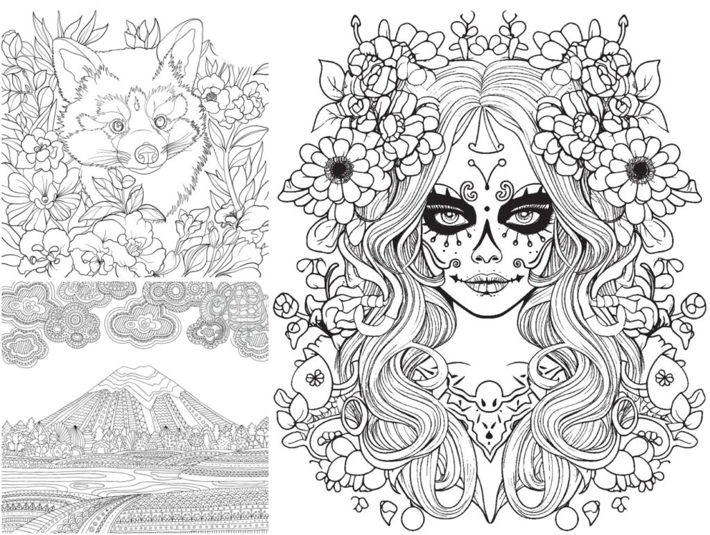 รูปภาพ 1 6