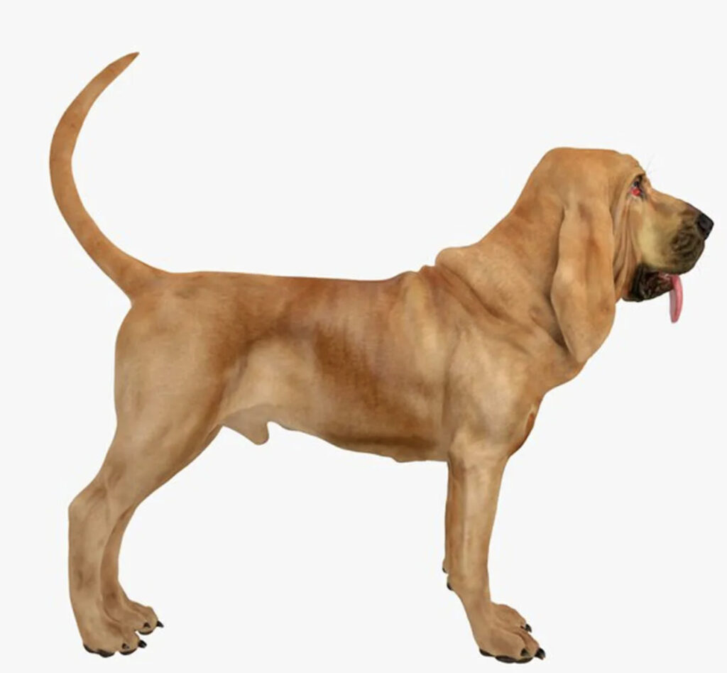 3D อนิเมชั่น 1 4