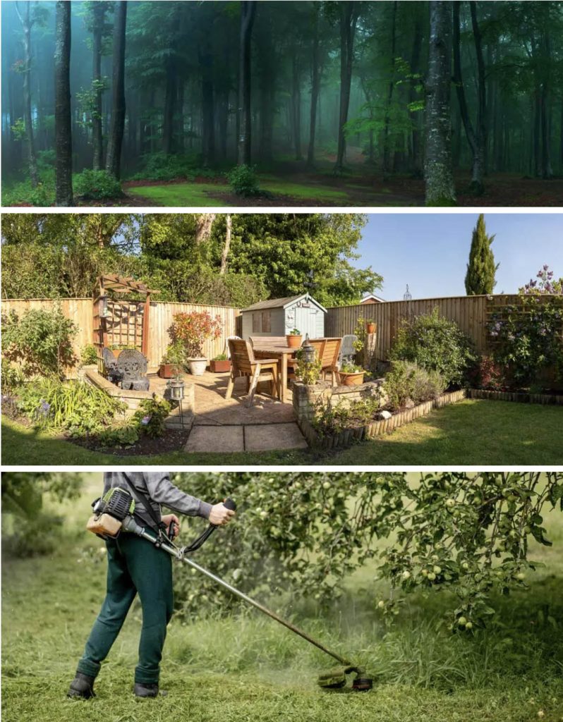 healthcare medical marketing trends4