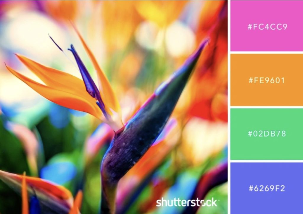 10 ชุดสีโทนร้อนจากภาพถ่ายแลนด์สเคปสุดแนว2