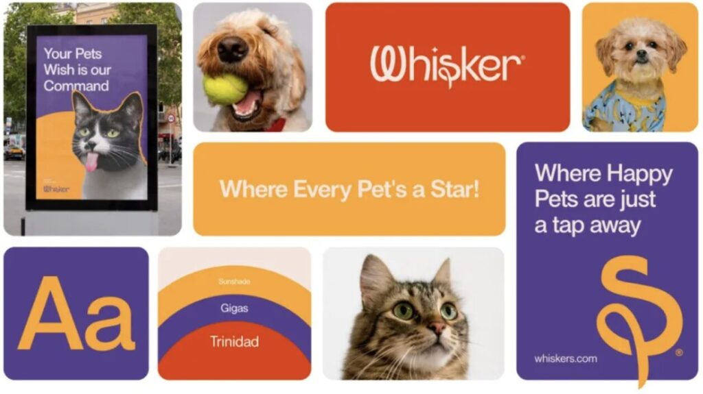 แบรนด์ b 2