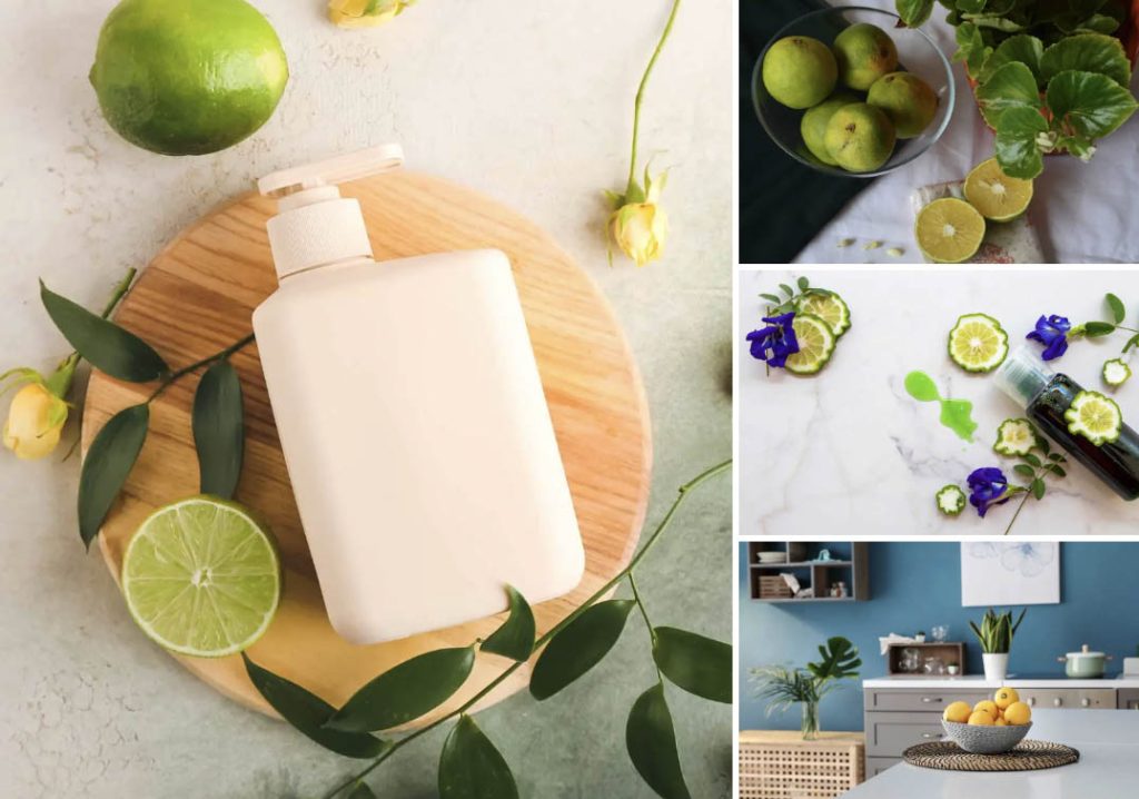 Screen Shot 2022 07 26 at 9.14.58 AM