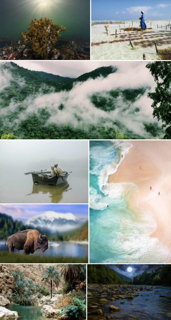 Screen Shot 2022 07 08 at 2.51.36 PM