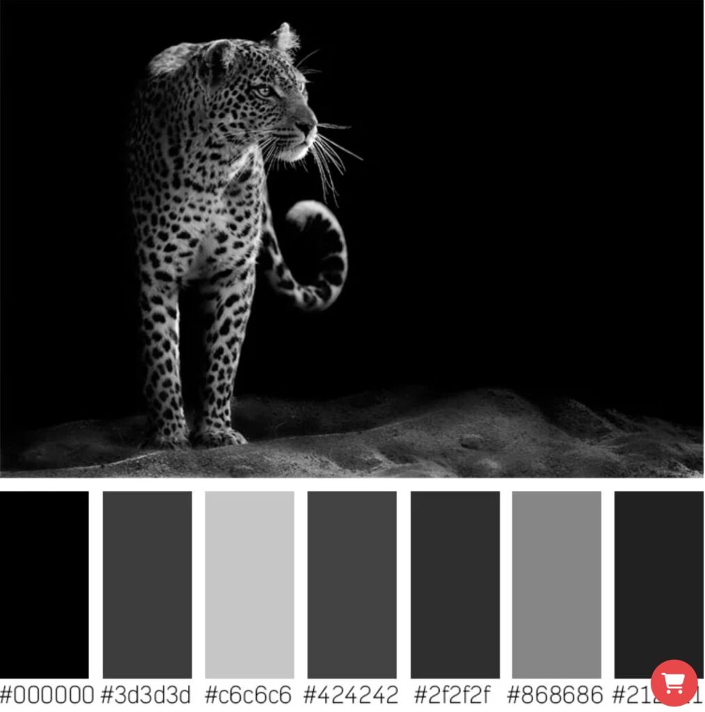 เทคนิคการการถ่ายทอดอารมณ์ผ่านสี 1 2