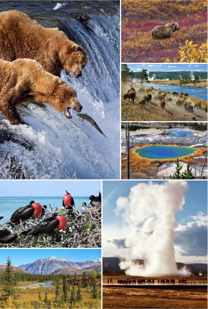 Screen Shot 2022 07 08 at 4.06.22 PM1