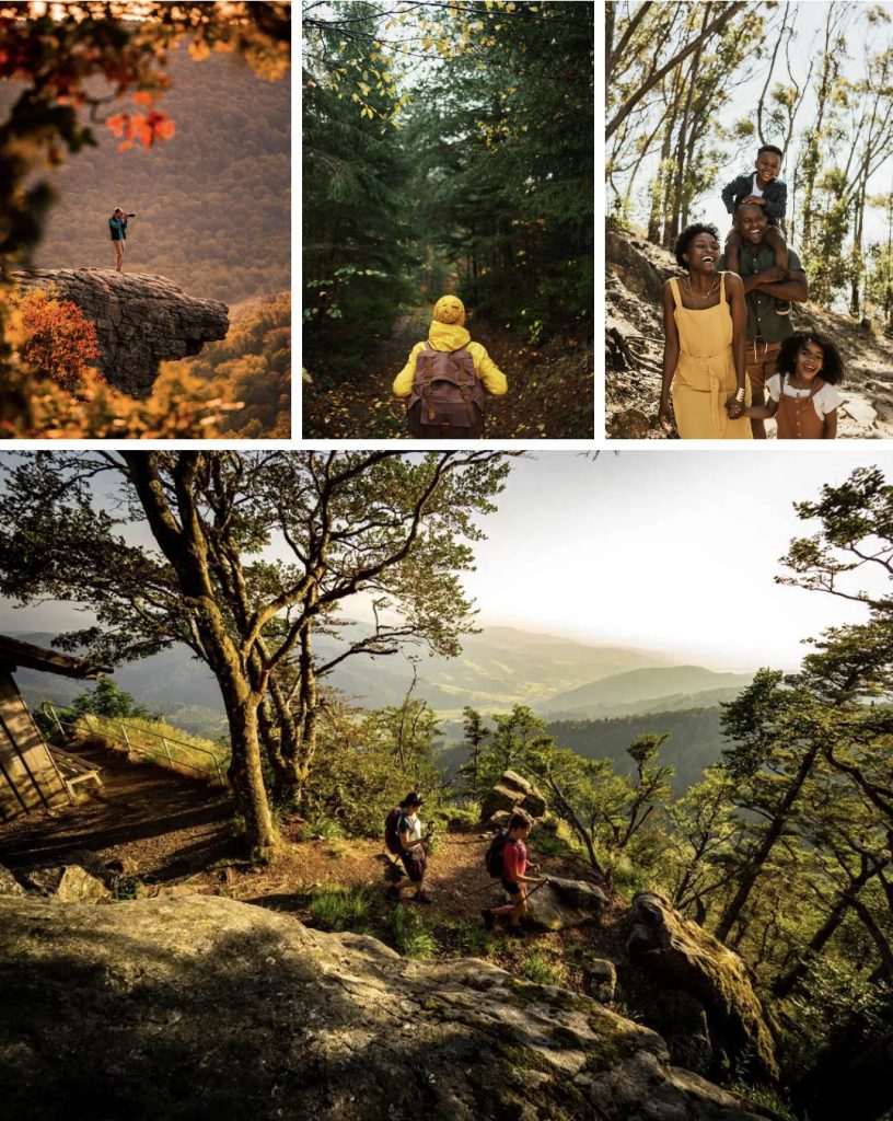 Screen Shot 2022 08 29 at 10.26.52 AM1